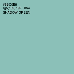 #8BC0B8 - Shadow Green Color Image